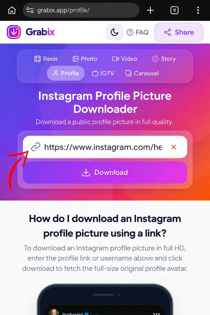 Step 2: Paste link into Grabix profile downloader