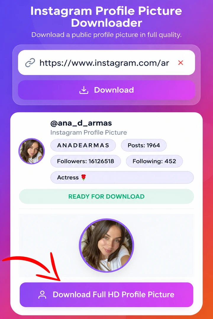 Step 3: Download profile media file