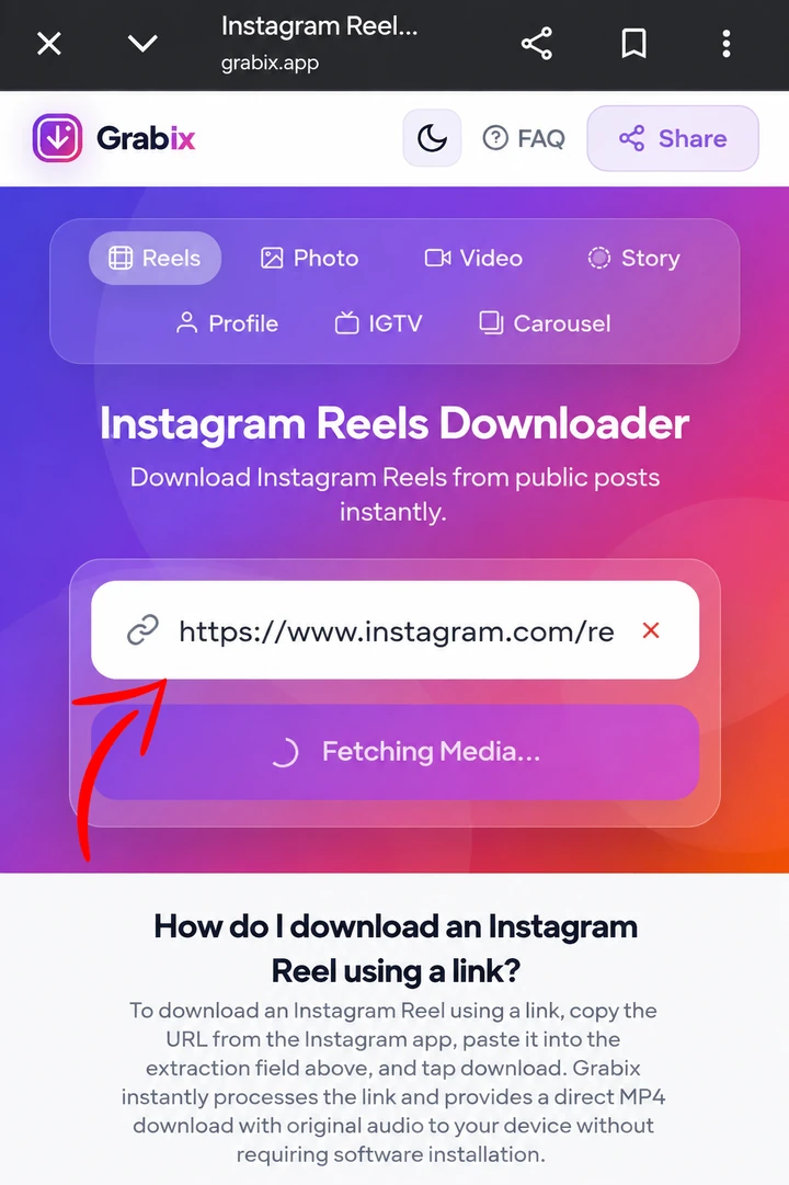Step 2: Paste link into Grabix reels downloader